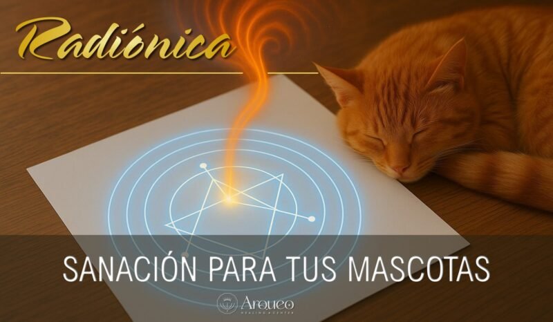 Radiónica | Sanación energética para animales