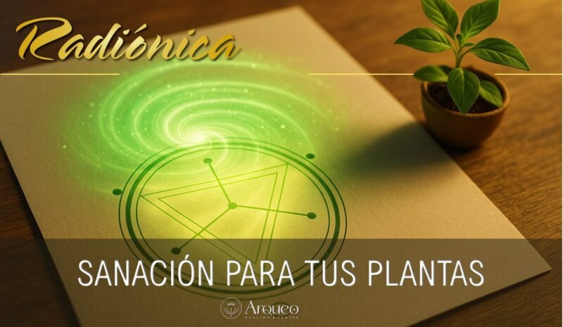 Radiónica | Sanación energética para plantas